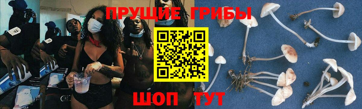 Волгодонск  Галлюциногенные грибы ЛСД  Вход с VPN 