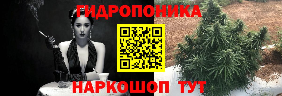 Волгодонск  Канабис сатива  МАРИХУАНА конопля  Вход с VPN 